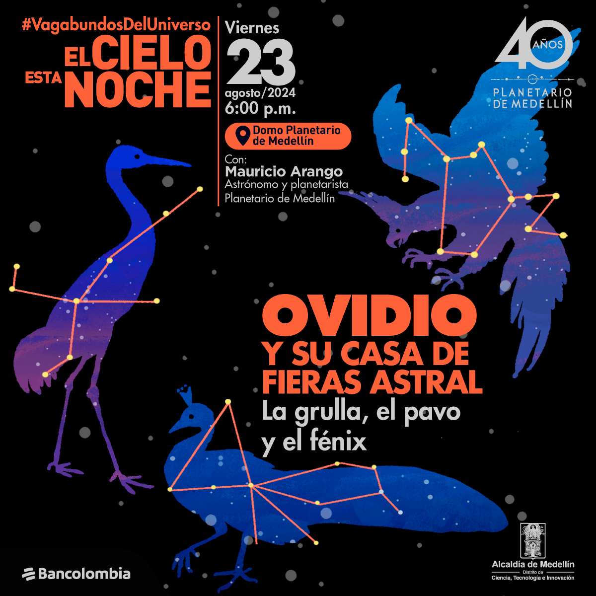 Ilustración. Sobre un fondo de tonalidades azul y negro con puntos blancos que simulan estrellas, se ven siluetas estilizadas de aves en diferentes colores: una grulla en azul oscuro, un pavo en azul claro y un ave fénix en azul y púrpura. Cada ave tiene sobreimpresas constelaciones con líneas y puntos amarillos que simulan las estrellas. En la parte superior izquierda, un texto dice "#VagabundosDelUniverso El cielo está noche". Más abajo, a la derecha, se lee "Ovidio y su casa de fieras astral La grulla, el pavo y el fénix". En la parte superior derecha, un texto dice "40 años Planetario de Medellín". Abajo, un texto indica "Viernes 23 agosto 2024 6:00 p.m. Domo Planetario de Medellín Con: Mauricio Arango Astrónomo y planetarista Planetario de Medellín".