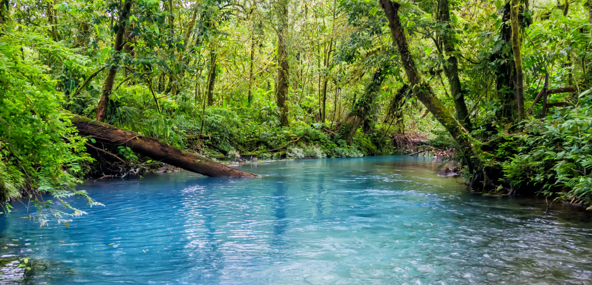 Rio-Celeste-in-Tenorio-Volcano-National-Park-in-Costa-Rica---The-Holiday-People.png