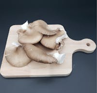 True italian mushrooms on a cutting board