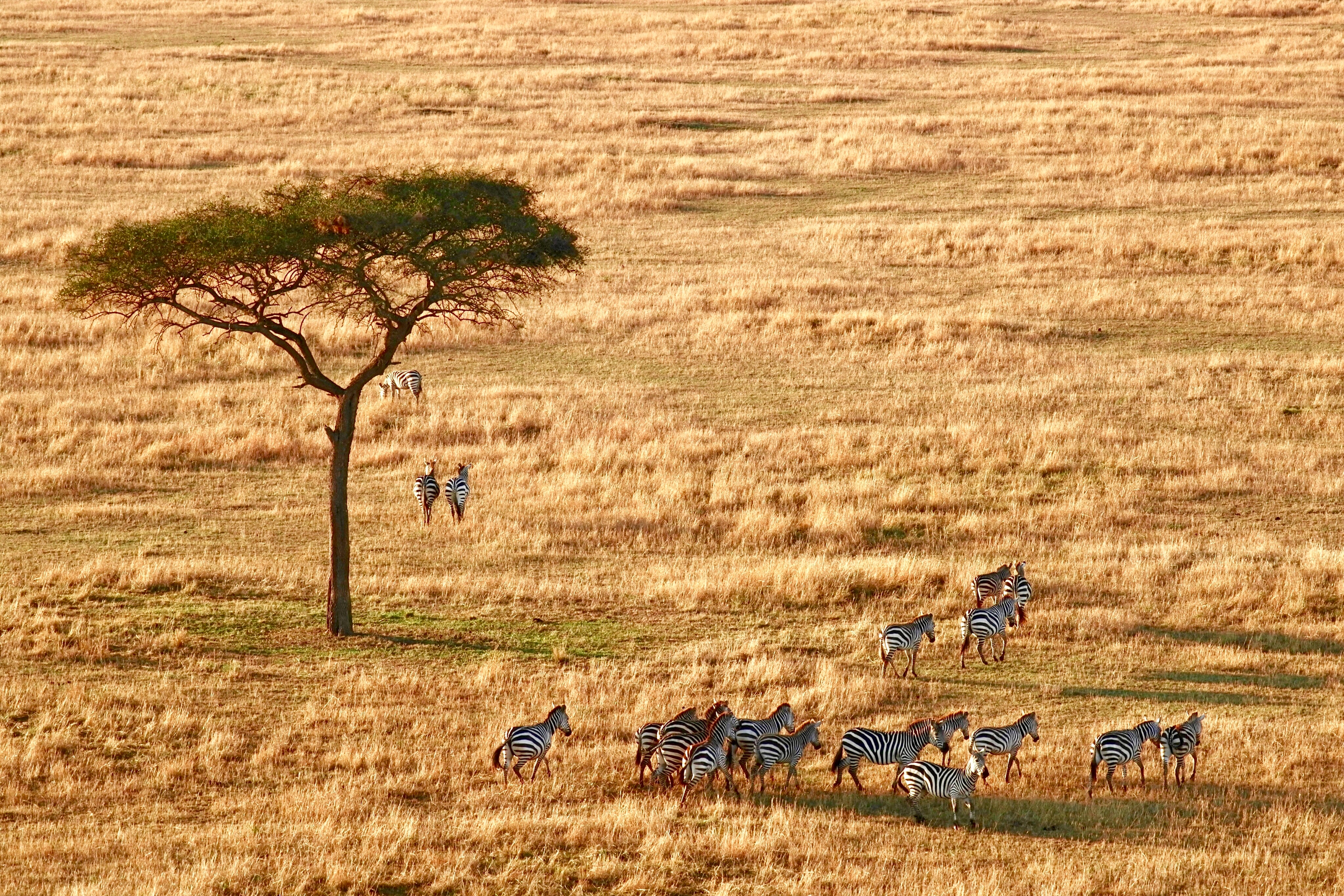 Kenya & Tanzania Adventure - 14 Days