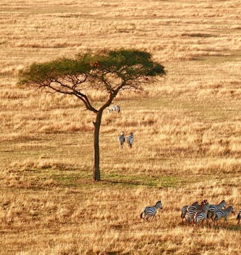 Kenya & Tanzania Adventure - 14 Days