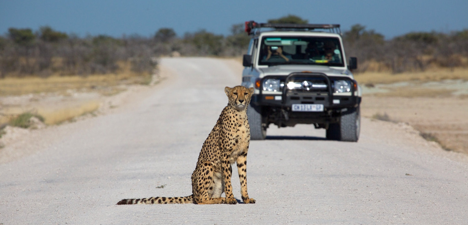 Cycle Namibia - 12 Days