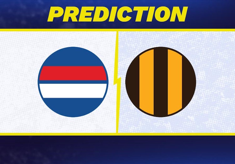 Western Bulldogs-Hawthorn Hawks Predictions and Game Preview.