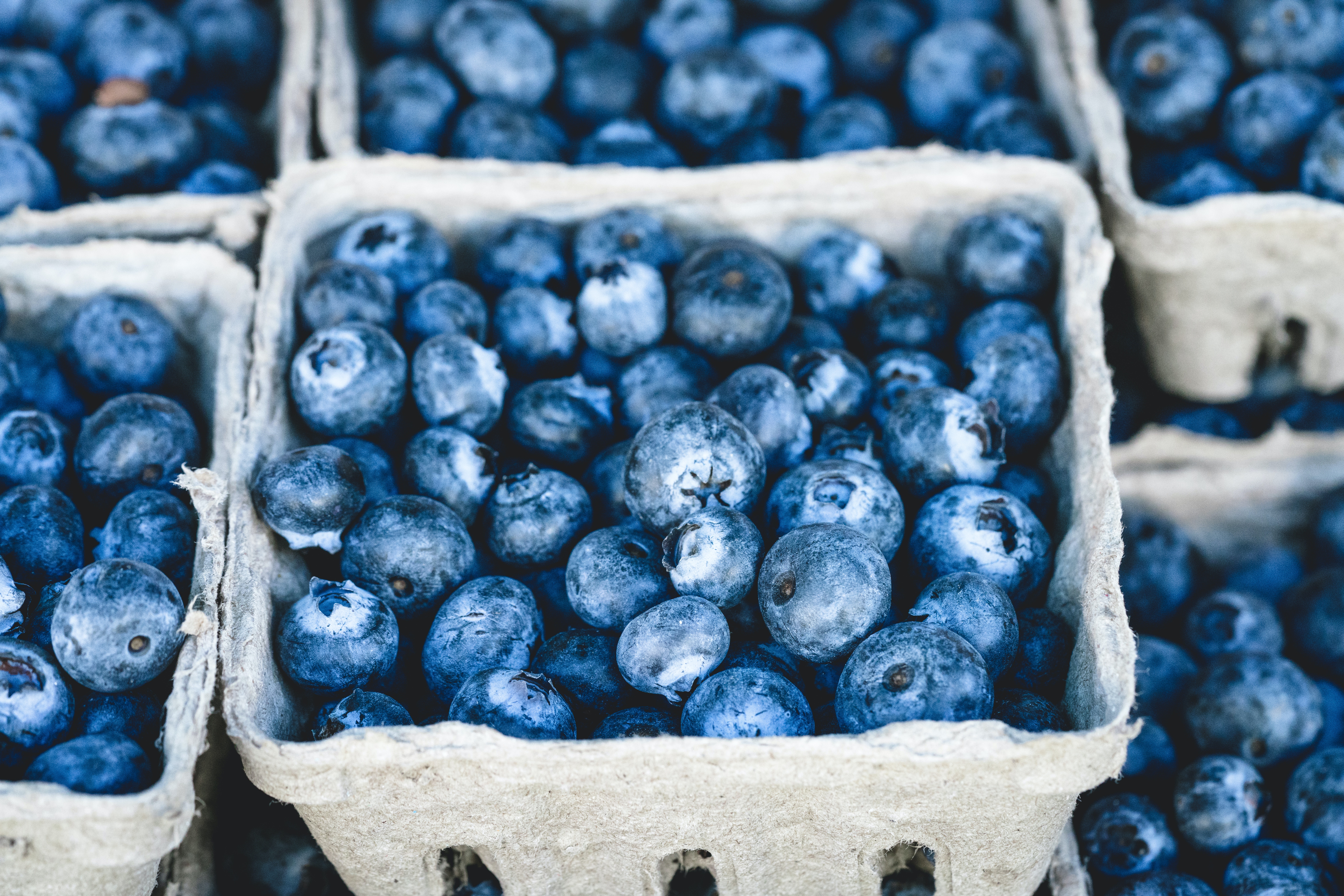 International Blueberry Organization Releases 2022 Industry Report