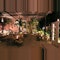 Stare into the night sea to the tune of the violin and smell the aromas as your dinner approaches from the kitchen