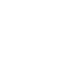 value icon