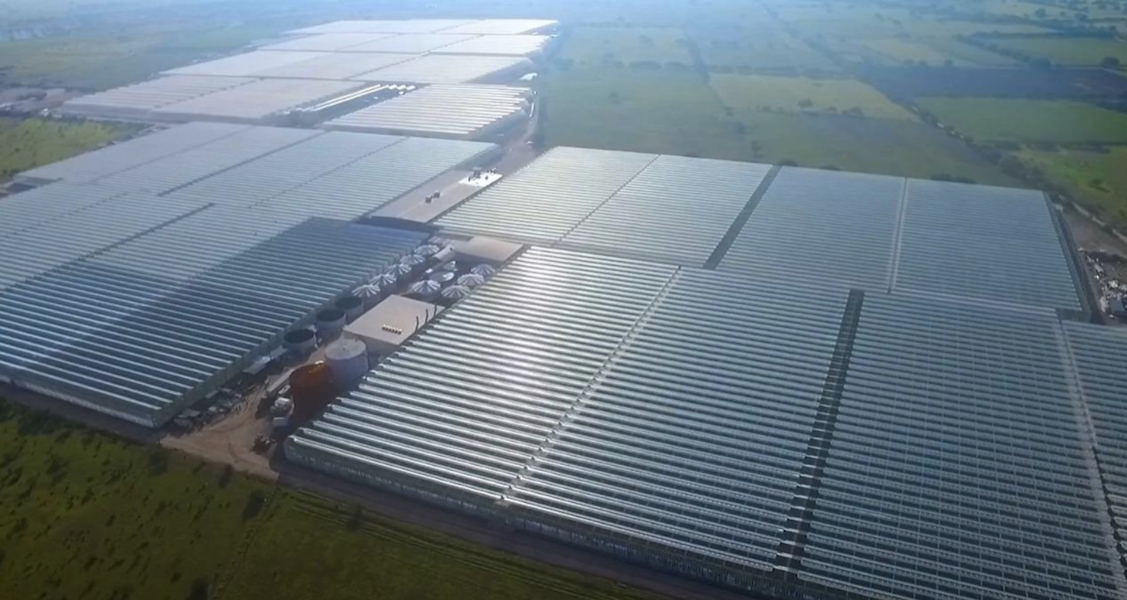 Ganfer Fresh's operations
