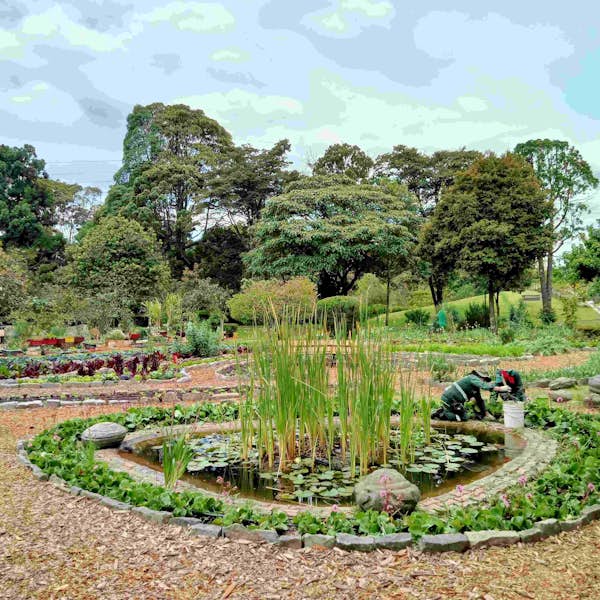 José Celestino Mutis Botanical Gardens's main gallery image