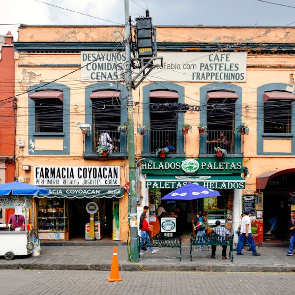 Frida Kahlo: Explore Her Life In The Coyoacan Neighborhood 's main gallery image