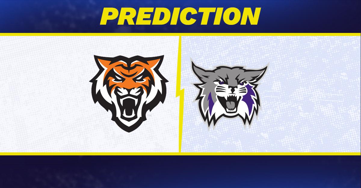 Idaho State vs. Weber State prediction: Why Weber State is favored to win men's college basketball matchup [1/31/2026]