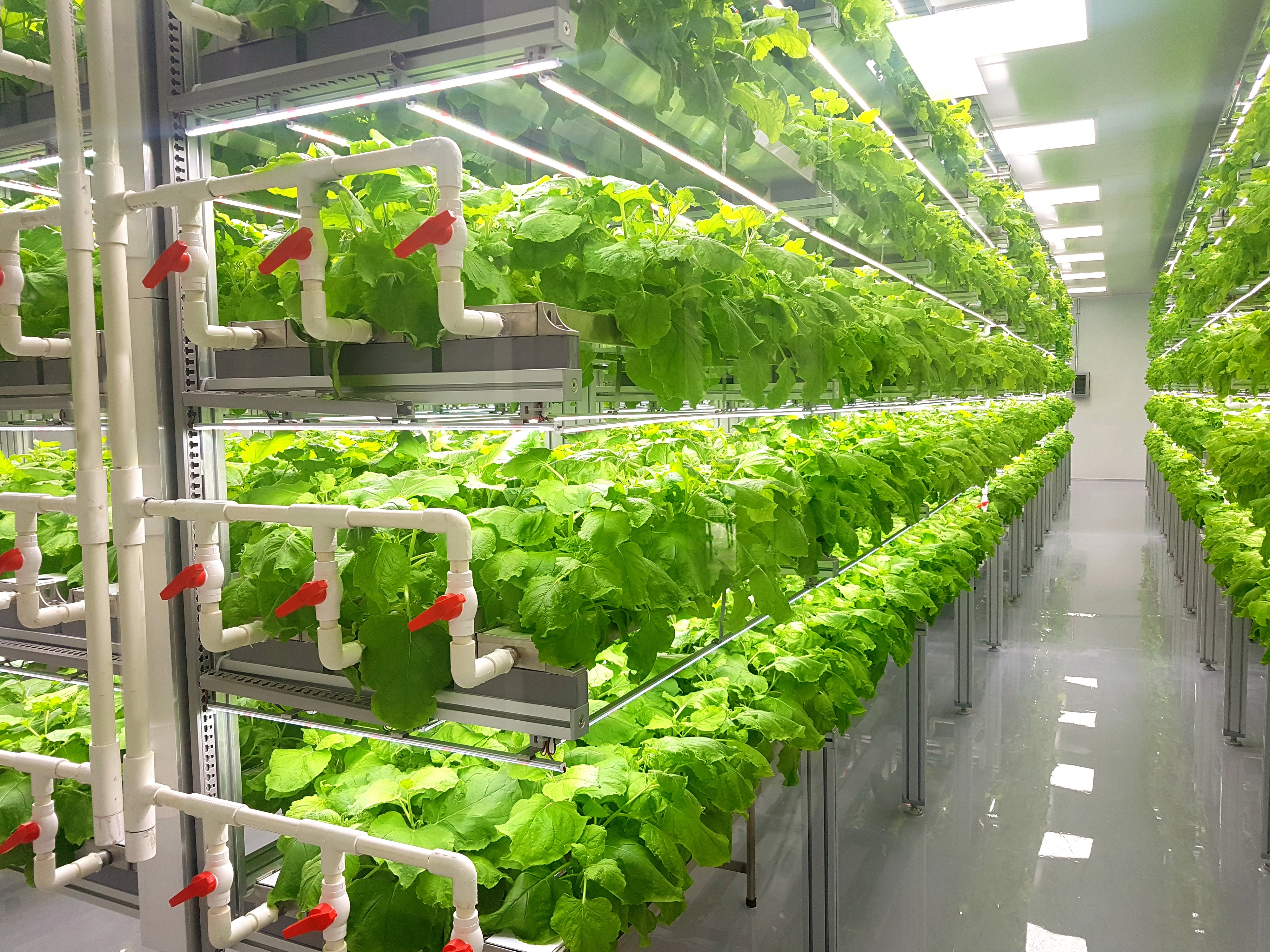 5 Notable Innovations in Ag Tech