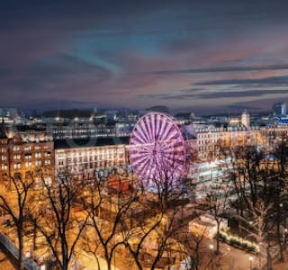 Holiday Lights Walk in Norway's gallery image