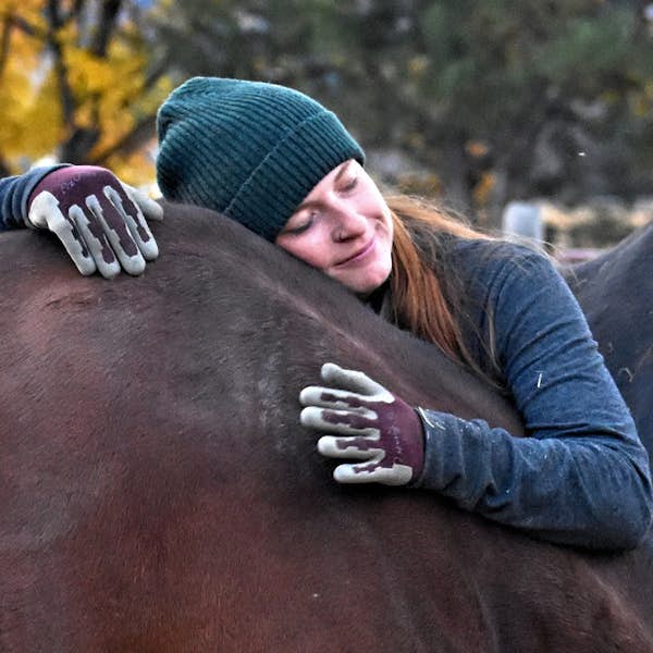All About Horses's main gallery image