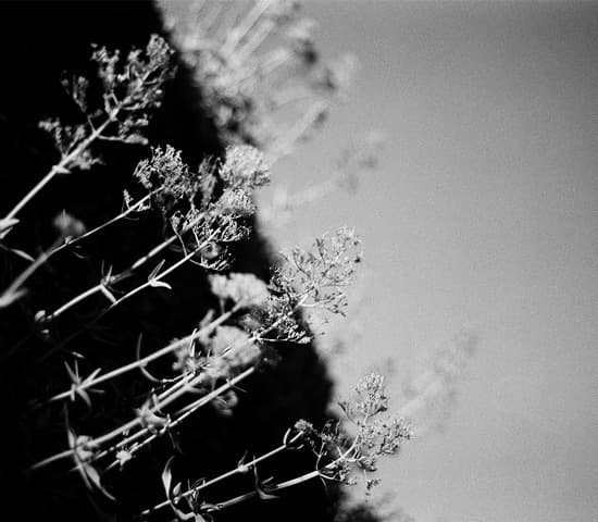 Near Momentary: Hinako Omori and Kloxii