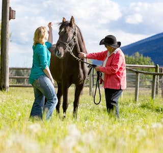 All About Horses's gallery image