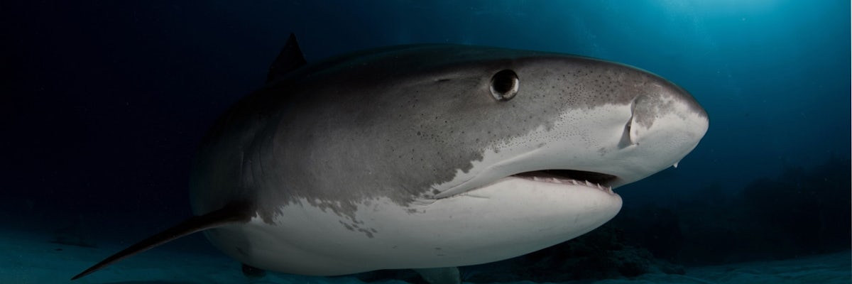 undefined's banner image