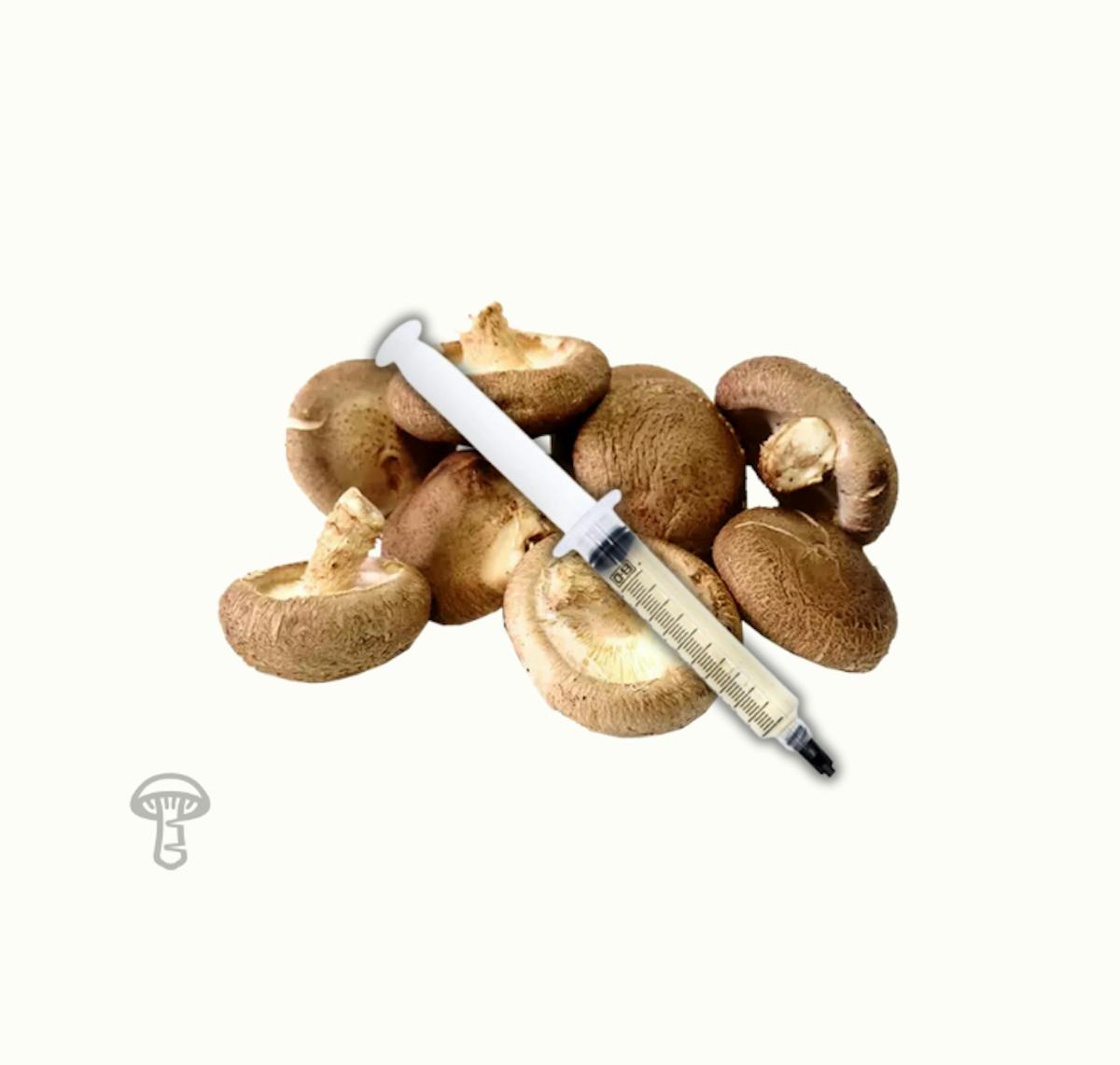 Shiitake Mushroom Liquid Culture