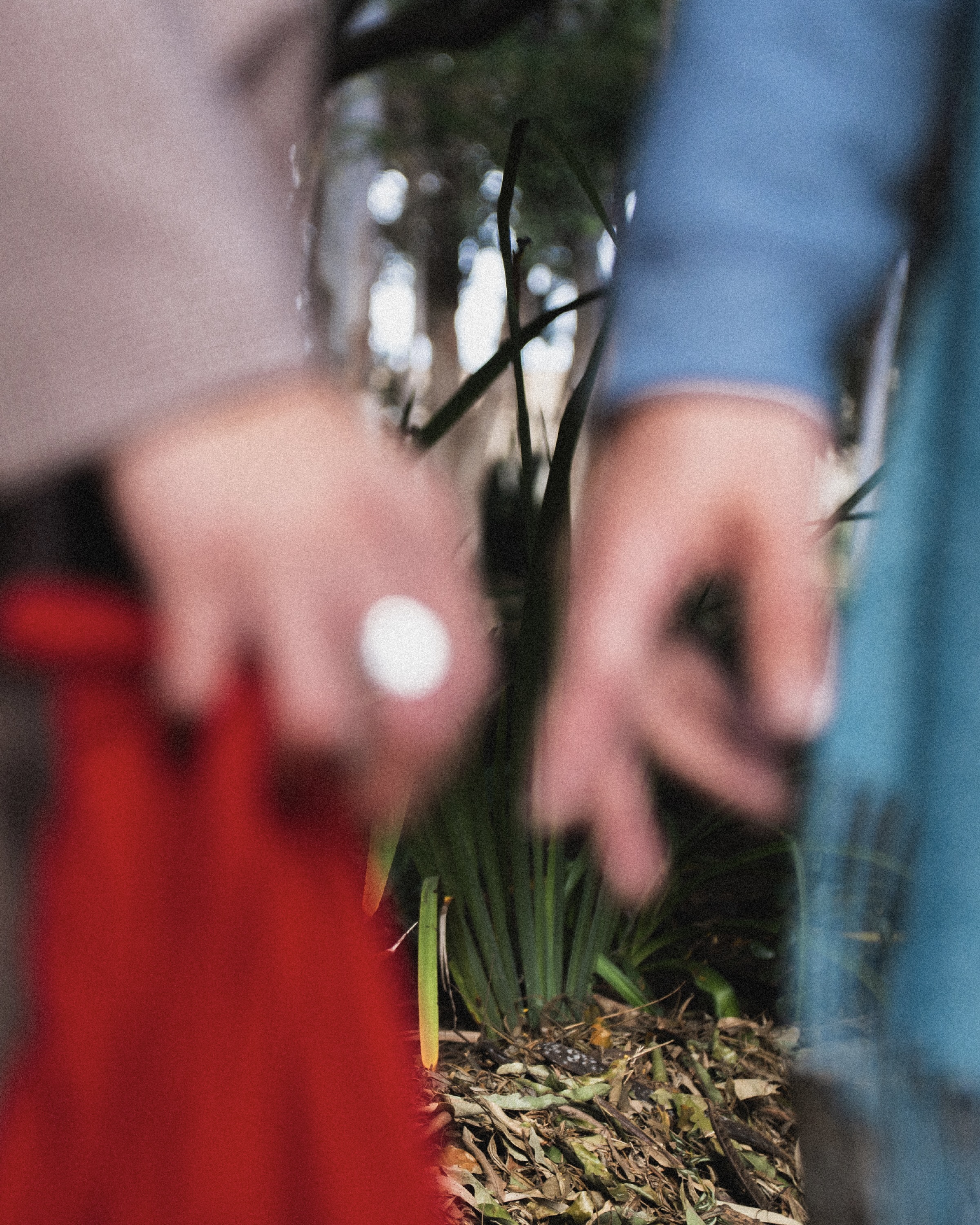 New Voices: Zaereo w/ cajupitanga