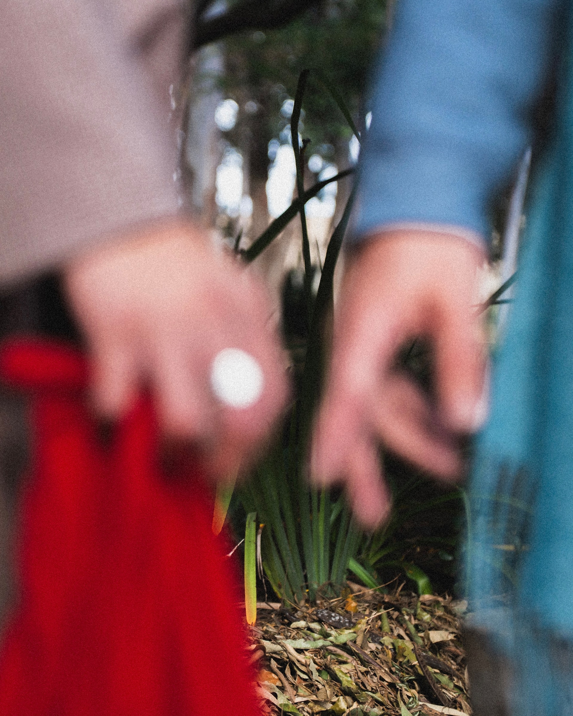 New Voices: Zaereo w/ cajupitanga