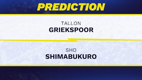 Tallon Griekspoor vs. Sho Shimabukuro prediction, odds, picks for ATP Terra Wortmann Open (Halle) 2026