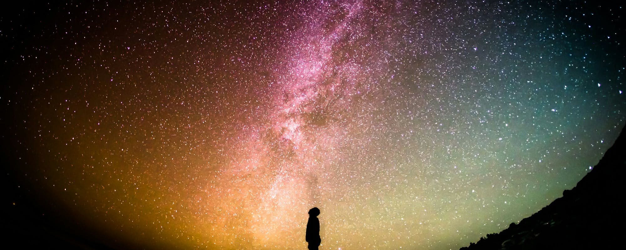The Longest Night