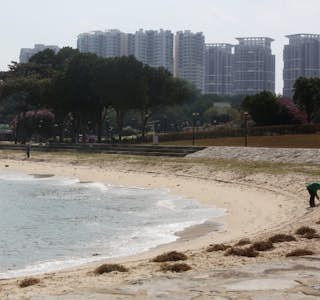Visit East Coast Beach and Learn About The Effects of Rising Sea Levels's gallery image