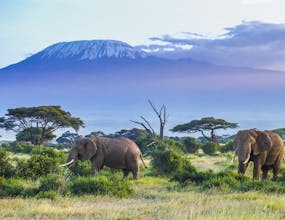 Serengeti