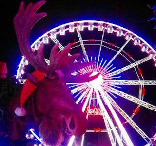 Christmas in Brussels: Holiday Markets & Traditions's gallery image