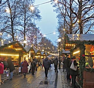 Holiday Lights Walk in Norway's gallery image