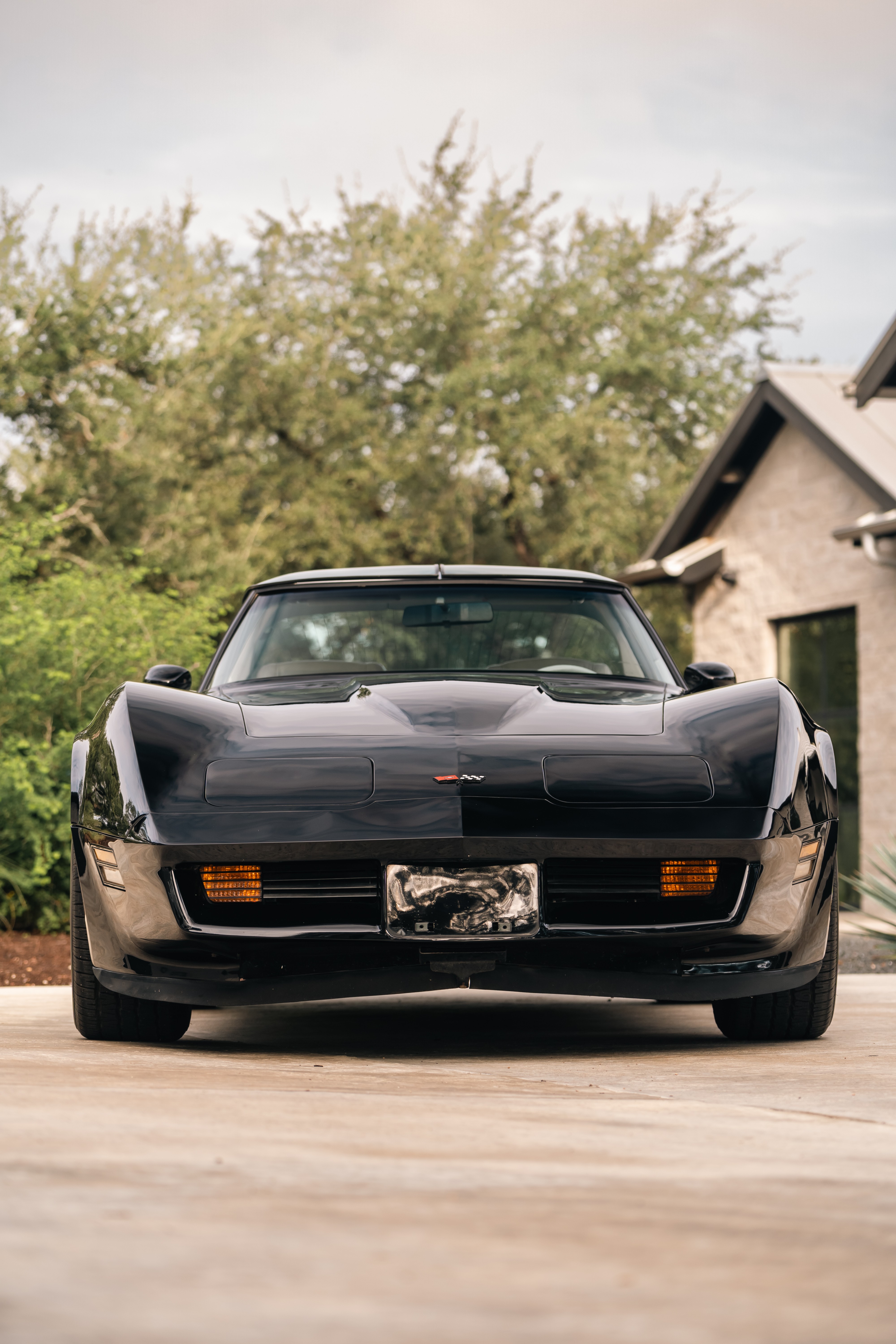 1983 Chevrolet Corvette in Dripping Springs, TX.