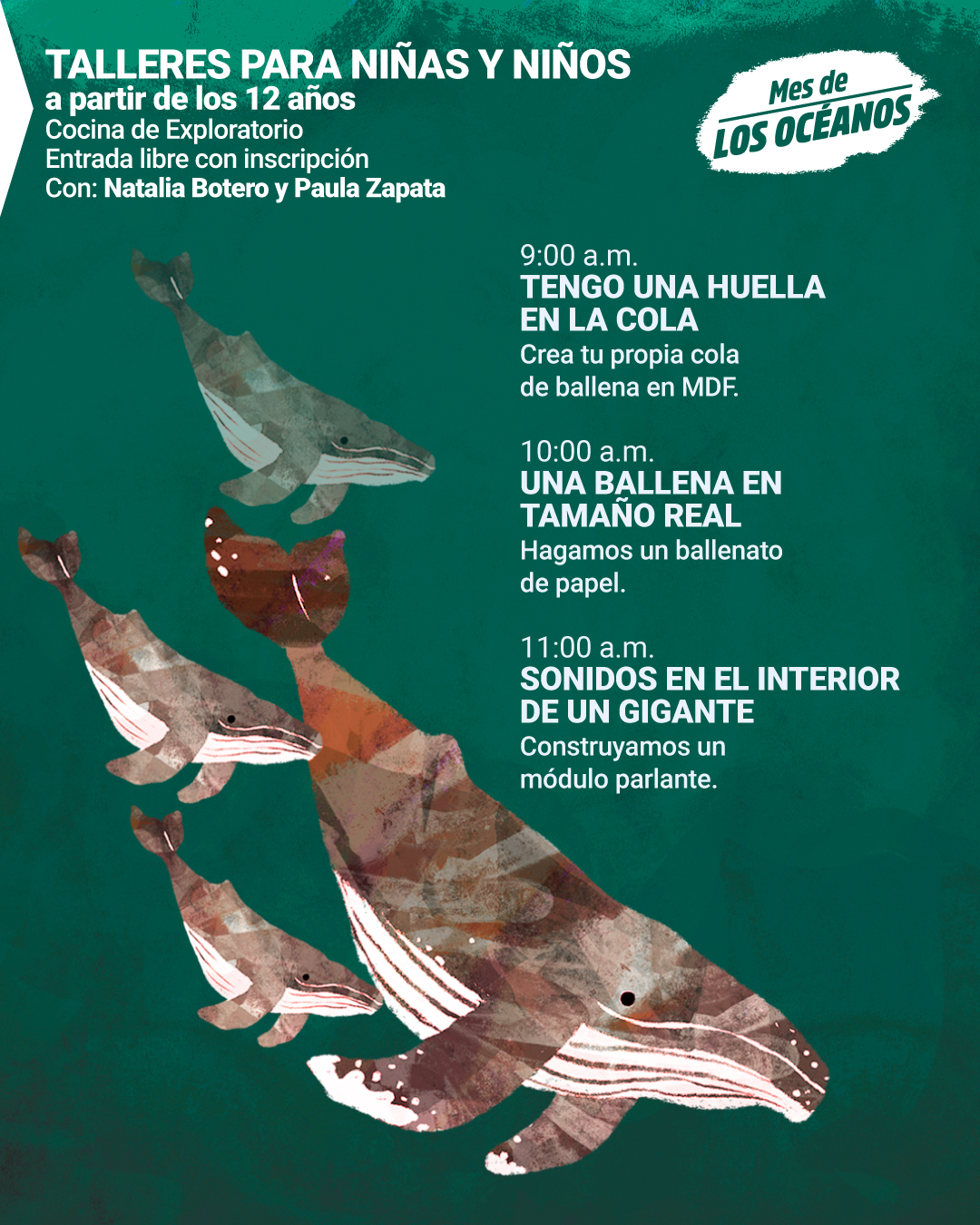 MaratonBallenas-InstaFace2.jpg