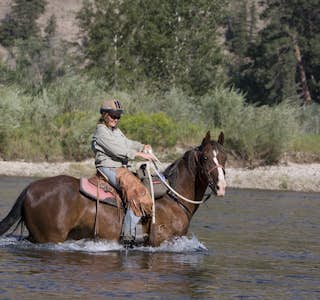 All About Horses's gallery image