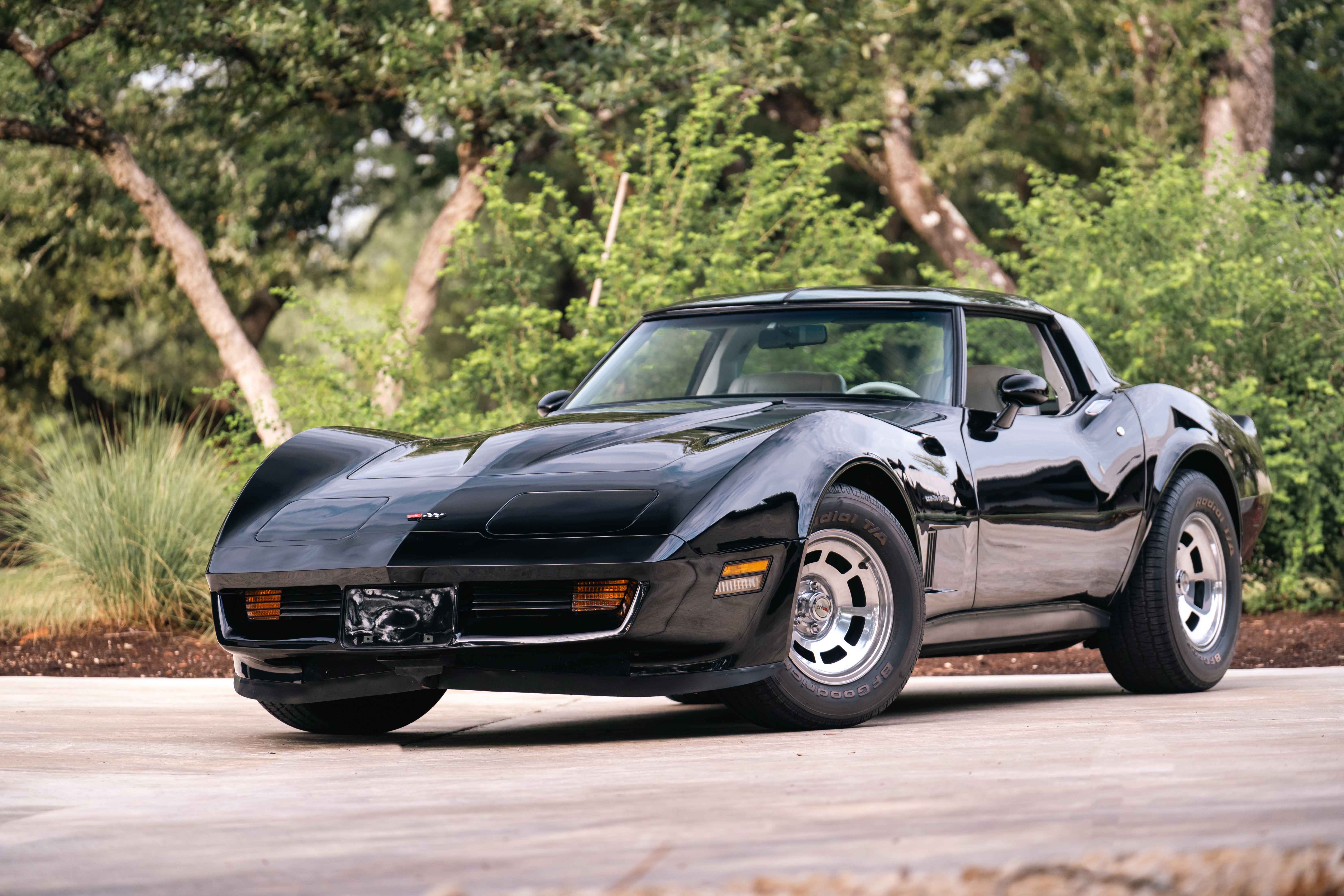 1983 Chevrolet Corvette in Dripping Springs, TX.