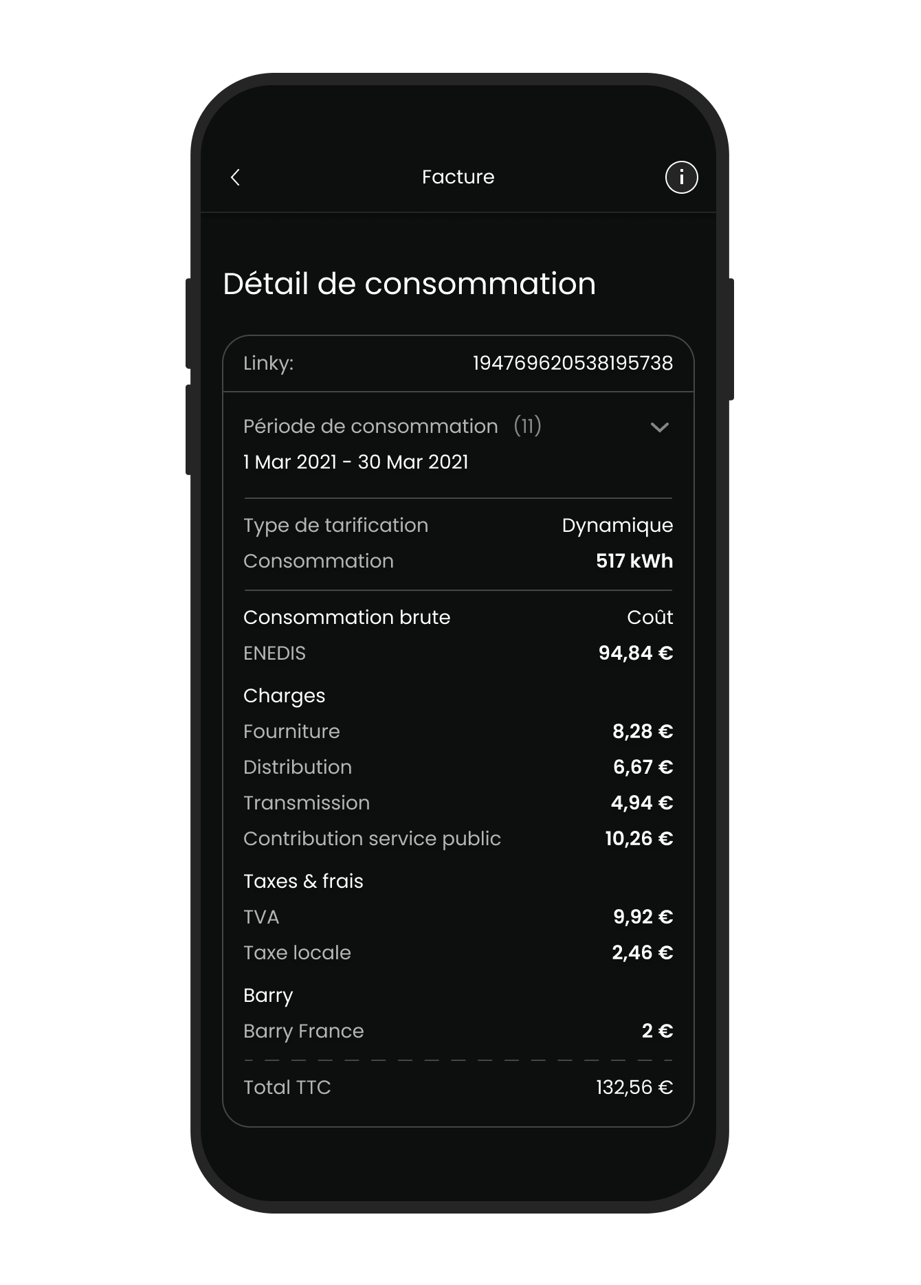invoice_details.png