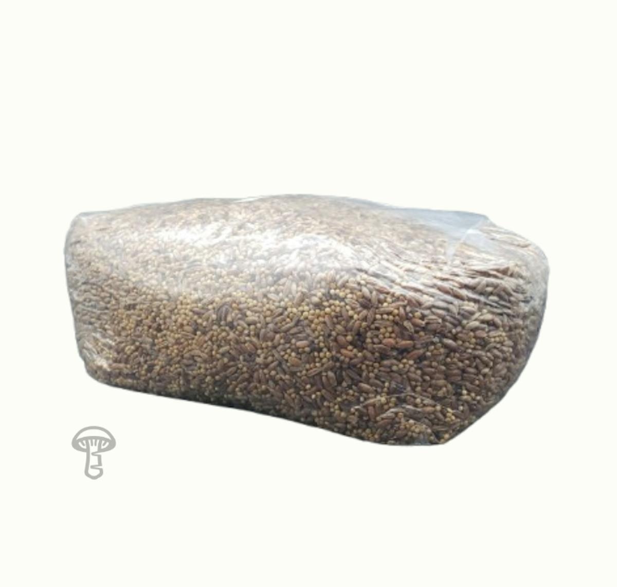 Grain Spawn (Sterilized)