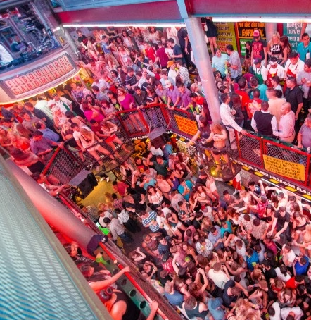 The Roe's Dance @ El Squid Roe Los Cabos