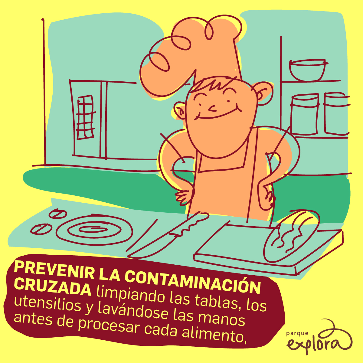 Ilustración. Sobre un fondo amarillo y verde se observa a una persona con gorro y delantal de cocina, sonriendo con las manos en la cintura, frente a una mesa que tiene una tabla de cortar, un cuchillo, un plato y un pan. Al fondo se distinguen estantes con recipientes y tazones. En la parte inferior se lee el texto: «Prevenir la contaminación cruzada limpiando las tablas, los utensilios y lavándose las manos antes de procesar cada alimento».