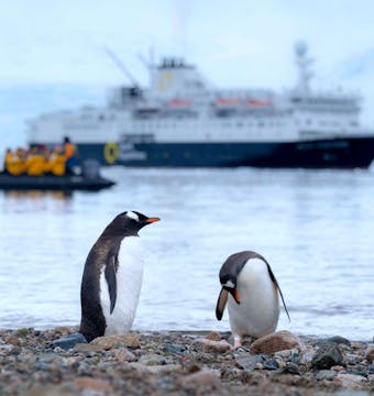Pristine Wilderness (Ocean Endeavour) - 11 Days