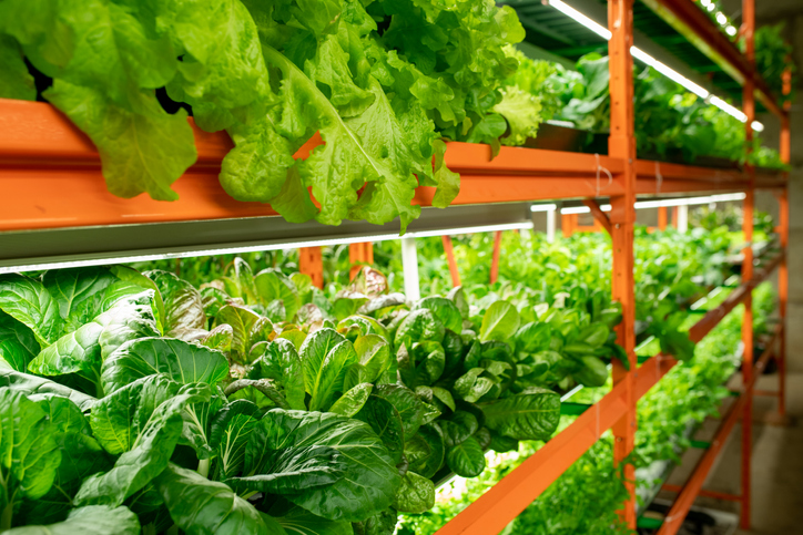 Fresh Produce Food Safety Trends for 2022