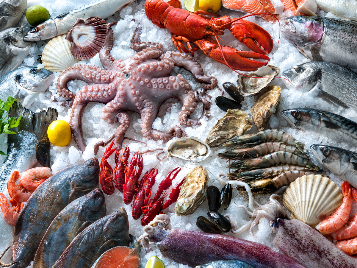 Issues Faced At Each Stage In The Seafood Supply Chain