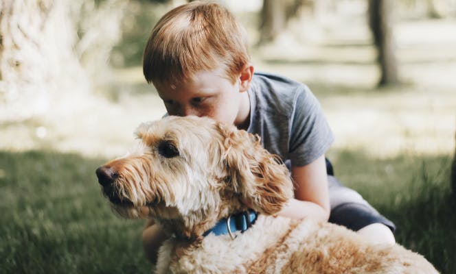 Boy kissing the top of his Labradoodle's head. 
