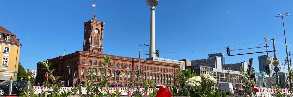 undefined's banner image