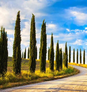 Cycle Tuscany - 8 Days