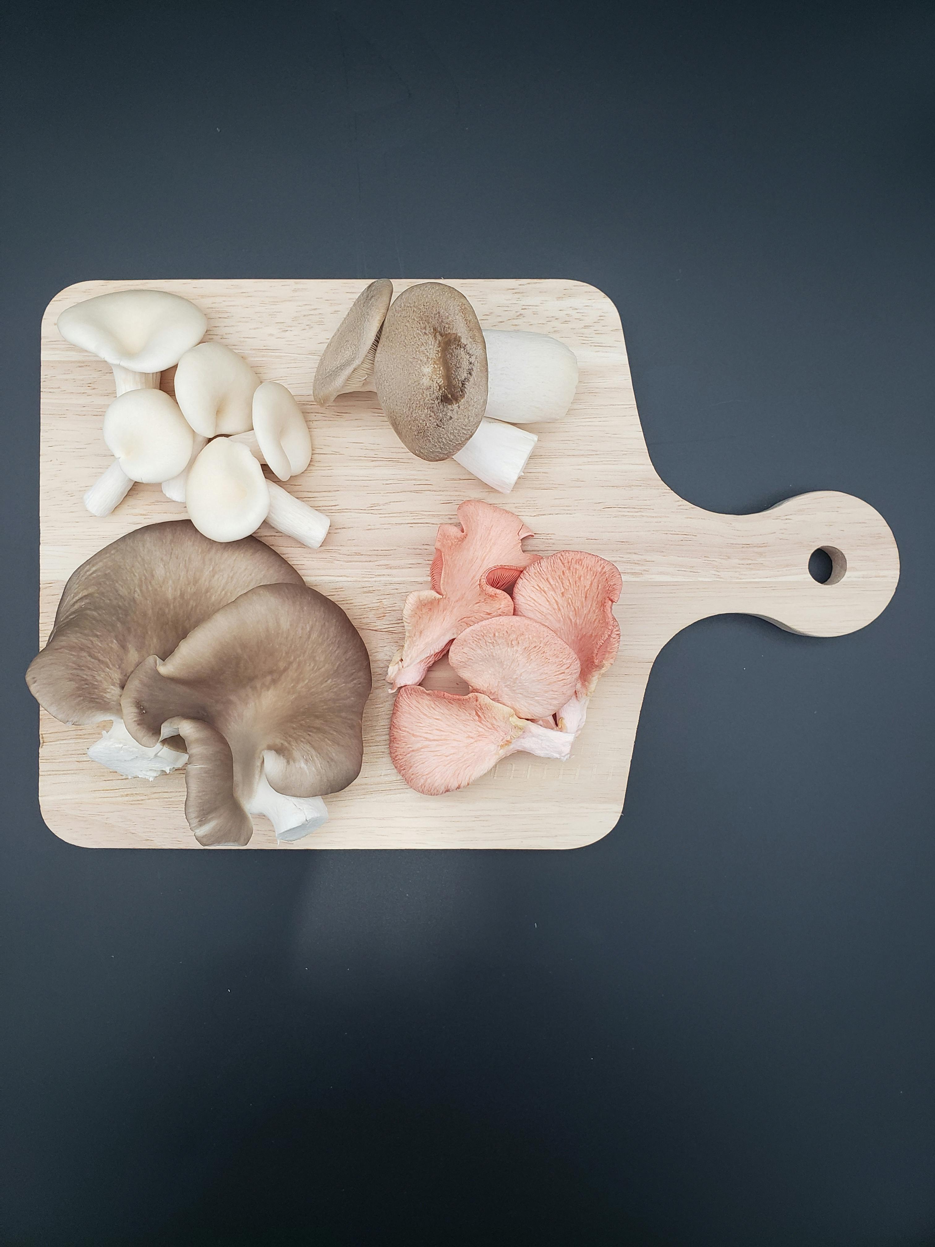 Fresh Mushrooms