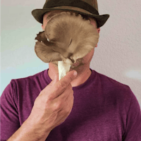 Jason Burson, Founder