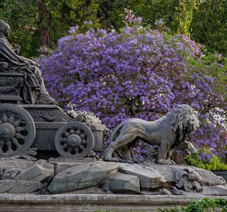 Mexico City's Bohemian & Parisian Inspired Neighborhood's gallery image