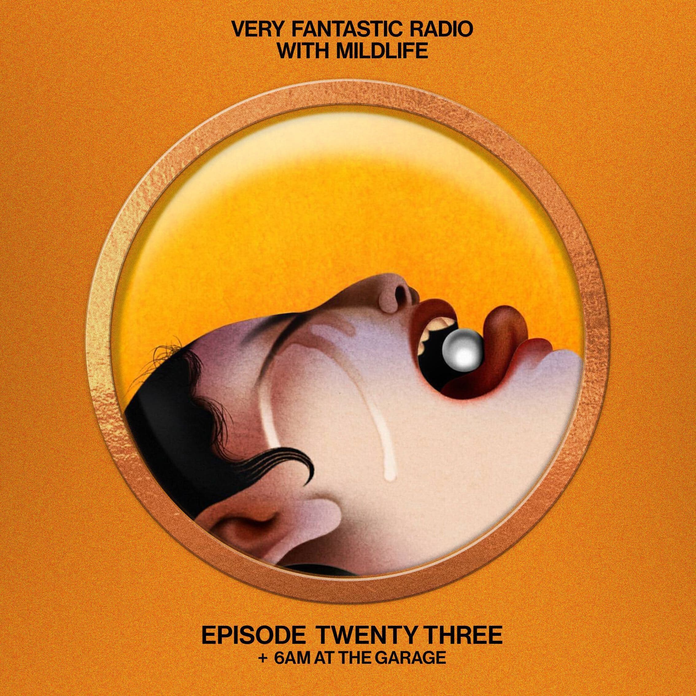 Very Fantastic Radio with Mildlife