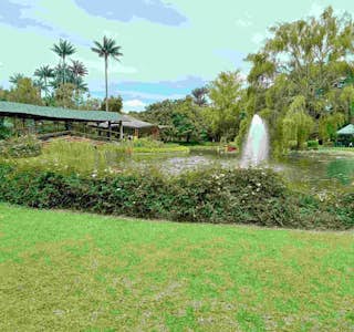 José Celestino Mutis Botanical Gardens's gallery image