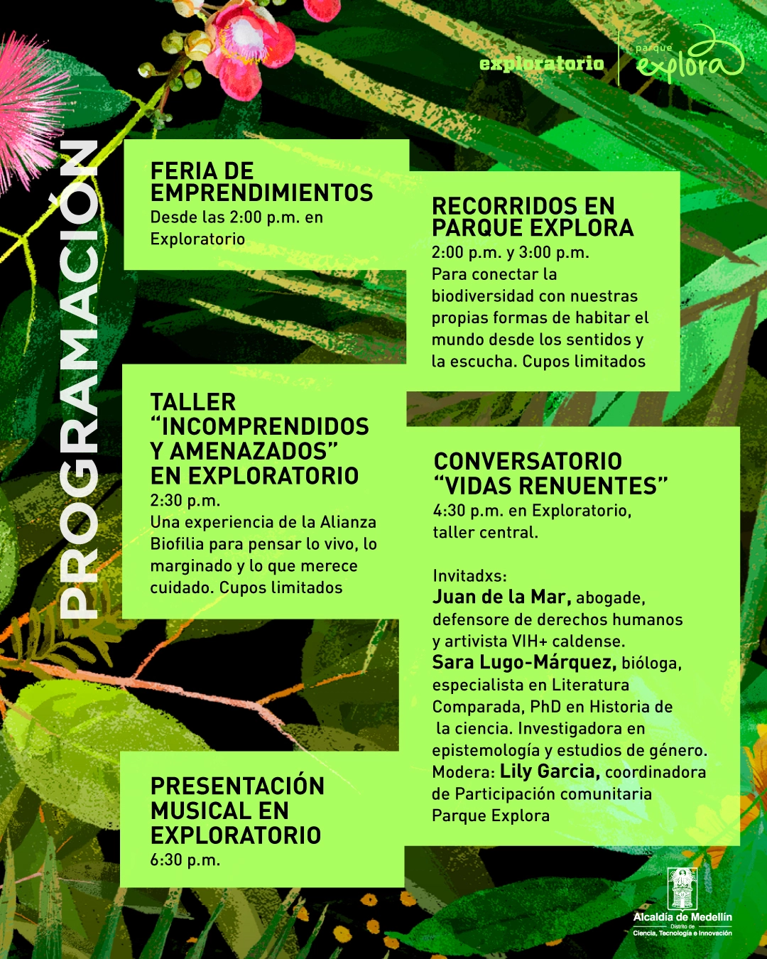 Ilustración. Sobre un fondo de hojas verdes, flores rosadas y ramas, se distribuyen cinco recuadros de color verde claro con información de actividades. A la izquierda, en orientación vertical, aparece la palabra "Programación". En la parte superior izquierda se lee: "Feria de emprendimientos. Desde las dos de la tarde en Exploratorio". A su derecha: "Recorridos en Parque Explora. Dos de la tarde y tres de la tarde. Para conectar la biodiversidad con nuestras propias formas de habitar el mundo desde los sentidos y la escucha. Cupos limitados". Más abajo: "Taller «Incomprendidos y amenazados» en Exploratorio. Dos y treinta de la tarde. Una experiencia de la Alianza Biofilia para pensar lo vivo, lo marginado y lo que merece cuidado. Cupos limitados". A su derecha: "Conversatorio «Vidas renuentes». Cuatro y treinta de la tarde en Exploratorio, taller central. Invitadxs: Juan de la Mar, abogade, defensor de derechos humanos y activista VIH+ caldense. Sara Lugo-Márquez, bióloga, especialista en Literatura Comparada, doctora en Historia de la ciencia. Investigadora en epistemología y estudios de género. Modera: Lily García, coordinadora de Participación comunitaria Parque Explora". En la parte inferior izquierda, otro recuadro dice: "Presentación musical en Exploratorio. Seis y treinta de la tarde".