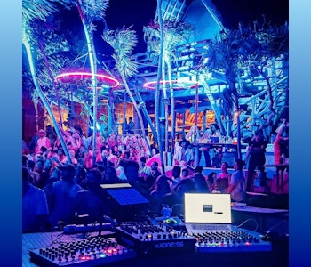 Papaya Playa Project